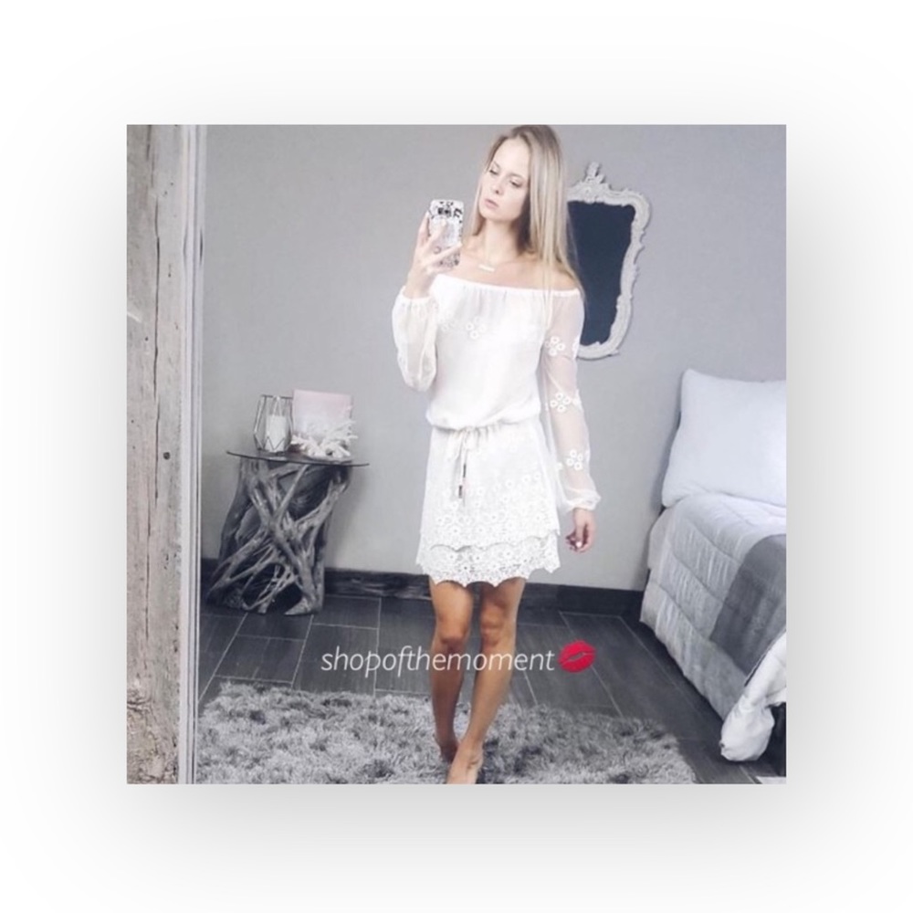 new Chaser ✶ Vintage Inspired Mesh + Lace Off Shouder Mini Dress ✶ Alabaster ✶ - Picture 15 of 16